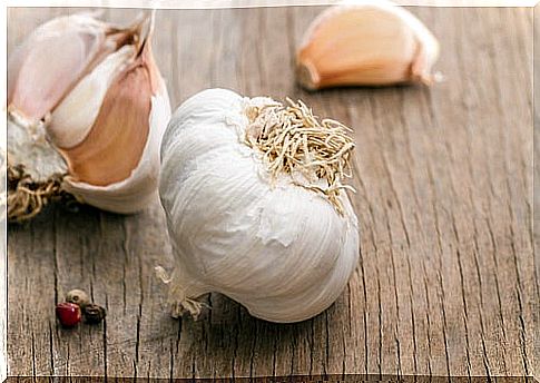 Head of garlic