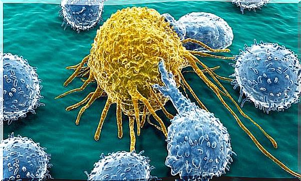 Cancer cell