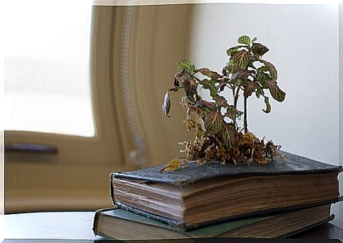 Plants can be made in books.