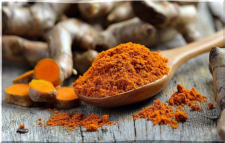 pile of fresh turmeric roots on wooden table