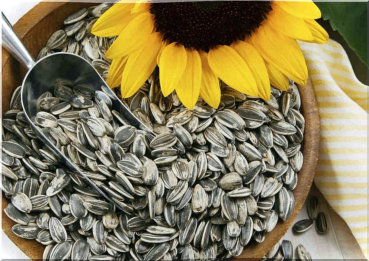 Sunflower seeds