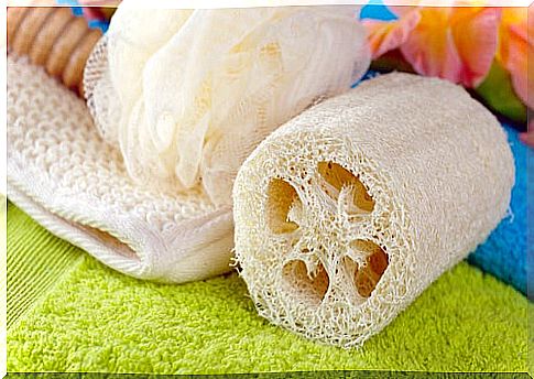 Bath sponges should be disinfected every day