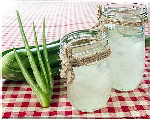 Aloe vera plants and gel