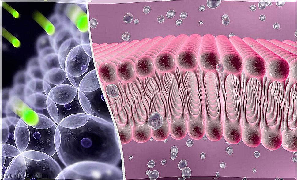 Chlorine channels: everything you need to know