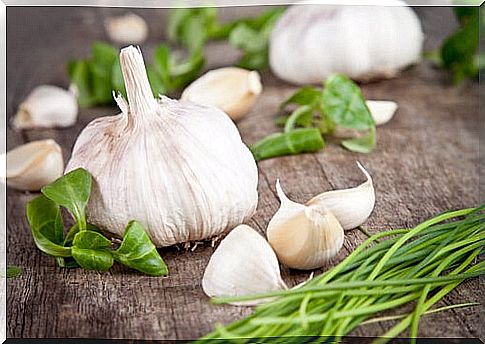 Garlic