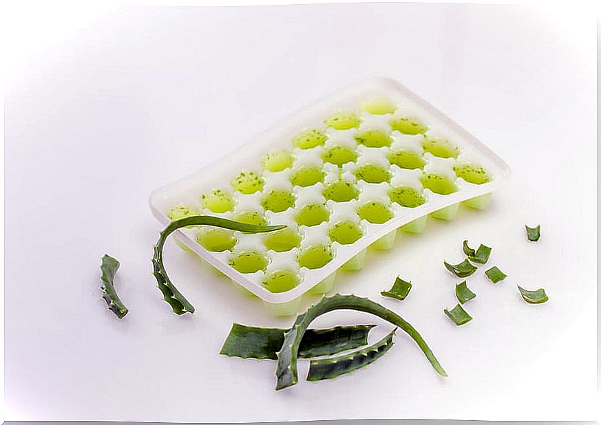 Freezing is the best way to store aloe vera gel.