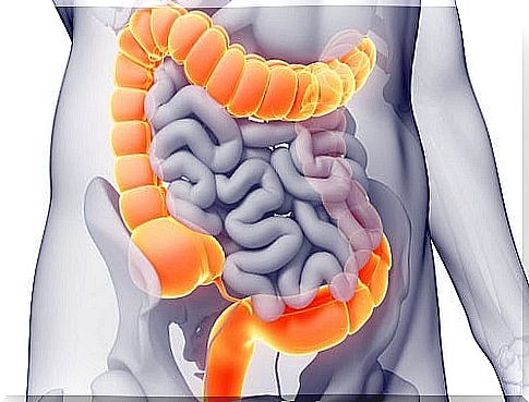 Image of the colon