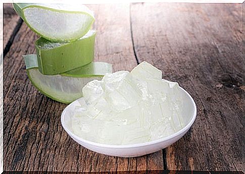 aloe vera and bowl with ice