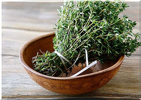 The-antiparasitic-properties-of thyme