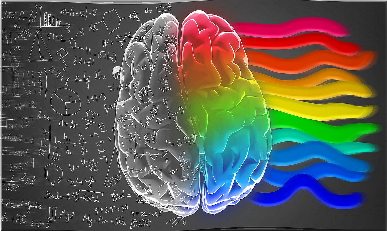 The brain and its function in sleep.