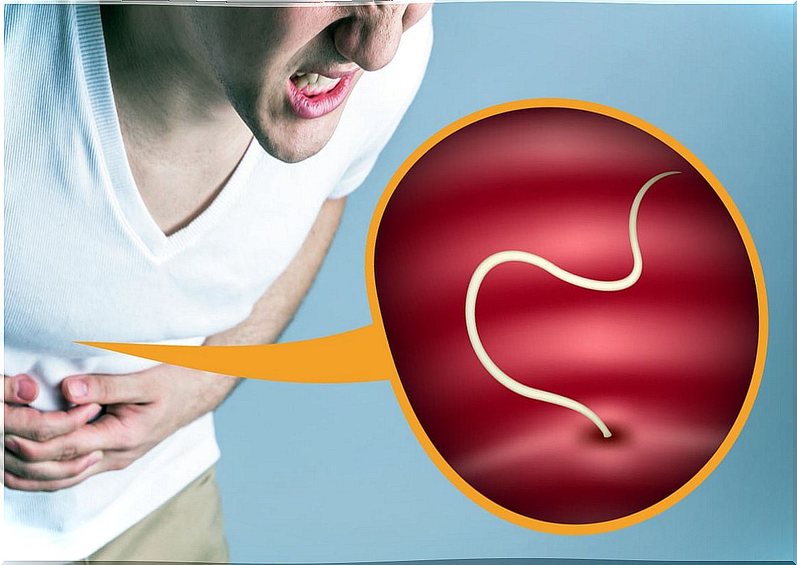 Abdominal parasitosis.