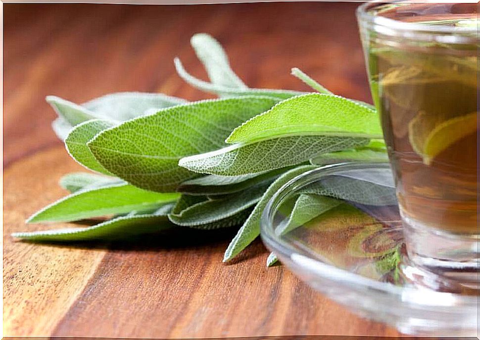 Sage for foot odor