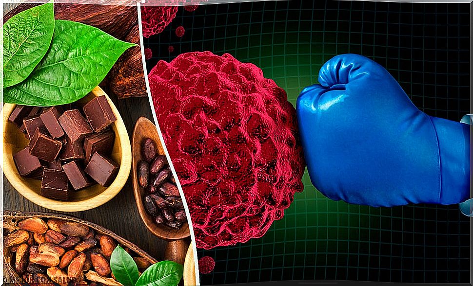 The benefits of cocoa on our immune system