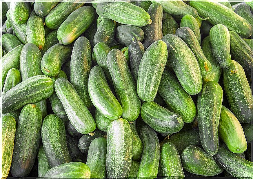 many cucumbers